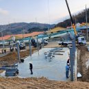 은하양돈 이미지