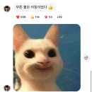 현동물병원 | 울고 웃고 울었던 6월 일상