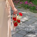 메르시플로라(Merci Flora) | 어버이날 카네이션 상품 안내 / 참플레르 2025 어버이날 카네이션 상품안내 / 광주 카네이션 참플레르