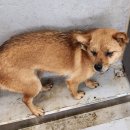 불갑원광 이미지