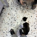 사이버캐슬PC방 이미지