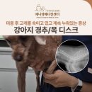 금호동물병원 | 강아지 경추 디스크, 목 디스크 치료 후기, 신당/금호/약수 동물병원, 애니컴메디컬센터