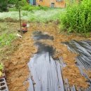 겸면 흥복 이미지