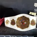 용인대SH복싱 이미지