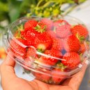 양평외갓집펜션 이미지