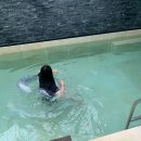 그랑모던풀빌라 이미지