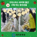 세미한병원 이미지