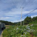 비커밍펜션4 이미지