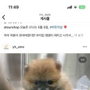 연희동물의료원 이미지