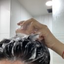 다있다마켓몰