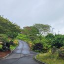 호텔라온제주 이미지