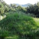 이여발묘 이미지