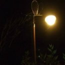 산천초목 이미지