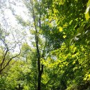 수리바위 화장실(체육공원) 이미지