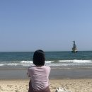 송림공원 내 | 부산혼자여행 뻥뚤린 조용한 바다보러 해운대해수욕장 송림공원 다녀온 후기 (모래축제, 가는길 팁까지)