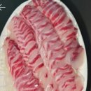 남양주탑실내바다낚시터 이미지