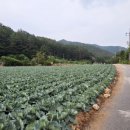 다온펜션 | 또 다녀온 정선 다온펜션 후기:)