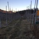 볼빨간 농원 이미지