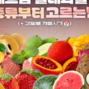 맛좋은과일 - 양천구 오목로 196 | 맛좋은과일