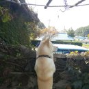 미하가든 이미지