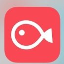 포에프 트레이닝 이미지