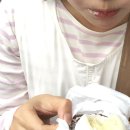 더빅두리안 | 홍콩 과일찹쌀떡 正宗長洲糯米糍 망고모찌 두리안모찌 후기