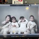 유준넷