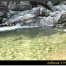 새밭야영장 이미지