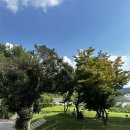 장성 KAFE52 이미지