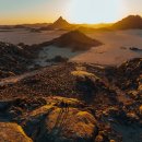 동물식물 생태체험교실 이미지