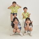 토마토사진관