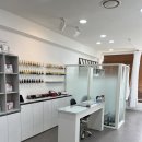 레푸스 앤 두두네일 이미지