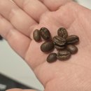 주식회사 제이드 인터내셔널 이미지