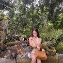 포레스트813 | 발리 여행 day 4-6 우붓 투어 타나데와 리조트 빠당바이 블루라군 스노쿨링 안다즈 발리