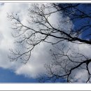 숨결이 바람 되어 이미지