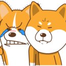 갱스터짐 이미지