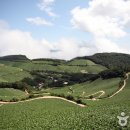 풍차마을 민박 이미지