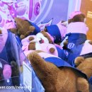 와우 뽑기방 이미지