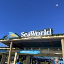 범고래 | 샌디에고 아기랑 가볼만한 곳 추천, 범고래 제대로 본 샌디에고씨월드 후기