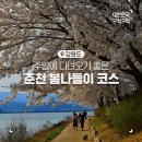 봄코스 이미지