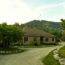 당너머한우 이미지