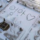 법인행복예감 | 난임일기(5) 시험관 2차 시작💉, 난자채취 결과, PGT 검사 재진행, 병원 전원 고민