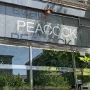 홍산초등학교 이미지