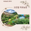 (원예교육지도사 2급 과정) 아름다운 텃밭정원 가꾸기 | 고은힐 치유농장. 사람을 심는다.