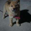 은아푸드 이미지