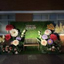 느리울초교병설 이미지