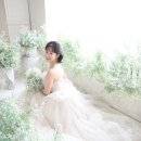 파리스라벨르엘린 이미지