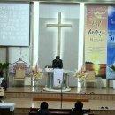 신비로-11 이미지