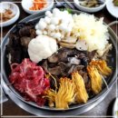 산들애 이미지