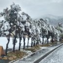 거슬러 오른집 이미지